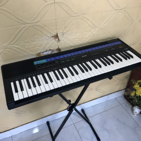 Đàn Organ CT-615