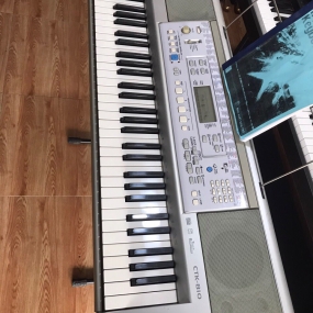 Đàn Ogan CTK-810