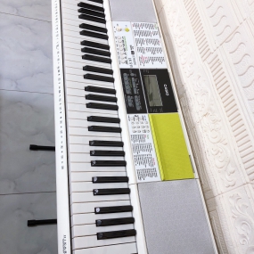 Đàn Organ LK-511