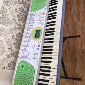 Đàn Organ LK-102
