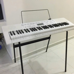 Đàn Organ LK-123