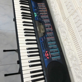 Đàn Organ CTK-495