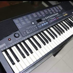 Đàn Organ PSR-310