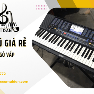Nên đến nơi nào mua đàn cũ giá rẻ Gò Vấp - Uy tín và chất lượng?