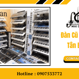 Địa chỉ mua đàn cũ giá rẻ Tân Bình được nhiều người tin dùng