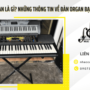  Đàn Organ là gì? Những thông tin về đàn organ bạn cần biết