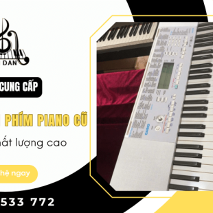 Địa chỉ cung cấp đàn organ phím piano cũ giá rẻ, chất lượng cao