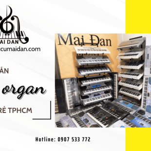 Địa chỉ bán đàn organ giá rẻ TPHCM uy tín, nên chọn