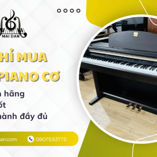 Địa chỉ mua đàn piano cơ TPHCM chính hãng, giá tốt, bảo hành đầy đủ