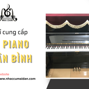 “Giải mã” cửa hàng Nhạc Cụ Mai Đan – Địa chỉ cung cấp đàn piano quận Tân Bình top đầu