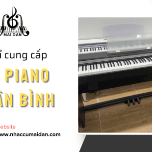 Nhạc cụ Mai Đan – Chuyên Cung Cấp Các Loại Đàn Piano Chính Hãng HCM, Giá Tốt Uy Tín Chất Lượng