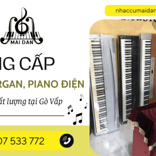 Mai Đan Music – Đơn vị chuyên cung cấp đàn organ, piano điện Gò Vấp uy tín và chất lượng