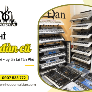 Mua đàn cũ giá rẻ Tân Phú tại Mai Đan Music - Sự lựa chọn hoàn hảo