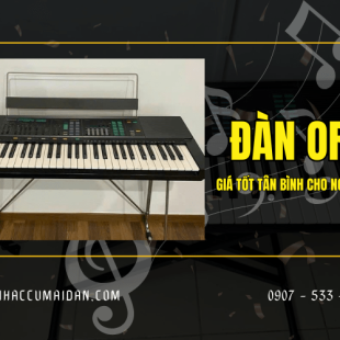 Mua đàn organ tại quận Tân Bình cho người mới bắt đầu giá tốt