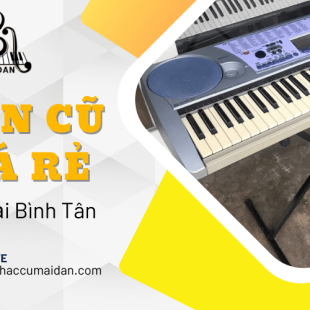 Nhạc Cụ Mai Đan – Thiên đường đàn cũ giá rẻ Bình Tân