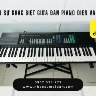 Tìm hiểu sự khác biệt giữa đàn piano điện và organ