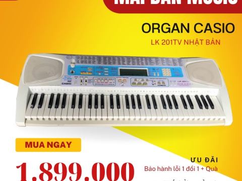 Đàn Organ