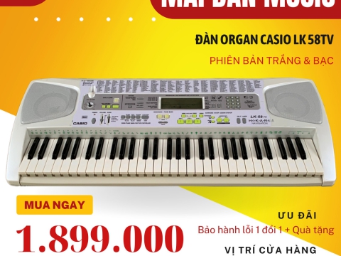 Đàn Organ