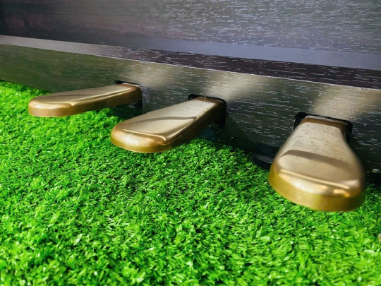 Đàn Piano Điện Roland RD301