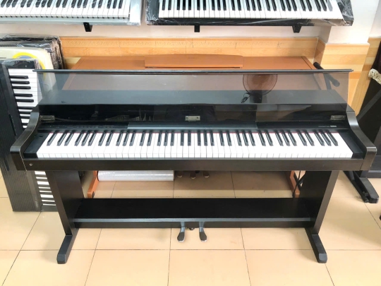 Đàn Piano Điện Korg C-800 