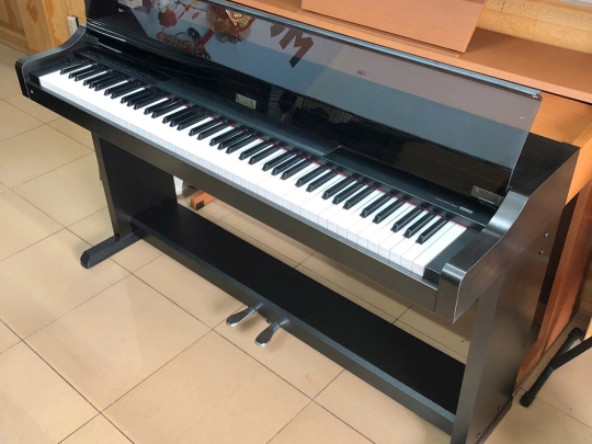 Đàn Piano Điện Korg C-800 