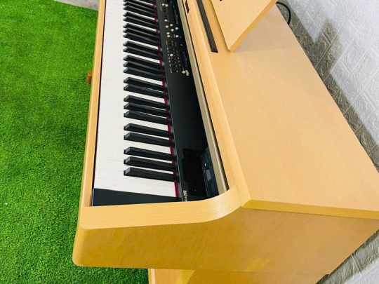 Đàn piano điện Roland HPi5
