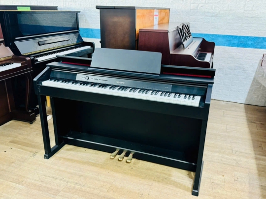Piano Casio AP-460