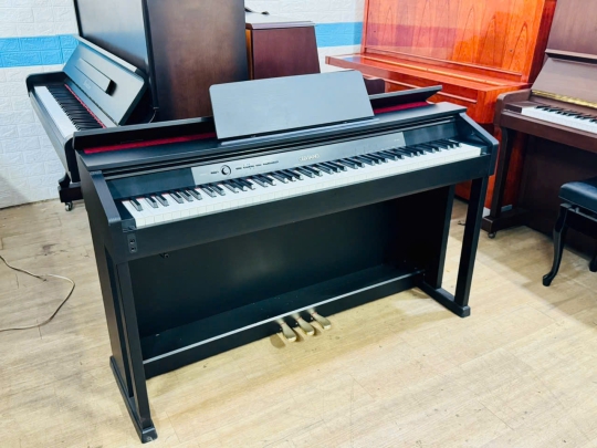 Piano Casio AP-460