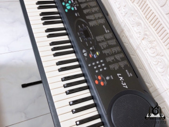 Đàn Organ LK-35