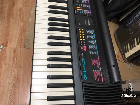 Đàn Organ CTK-480