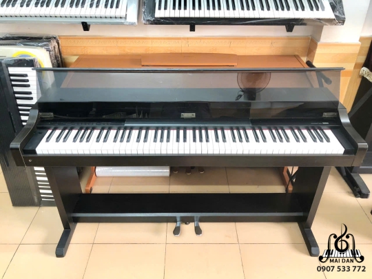 Đàn Piano Điện Korg C-800 