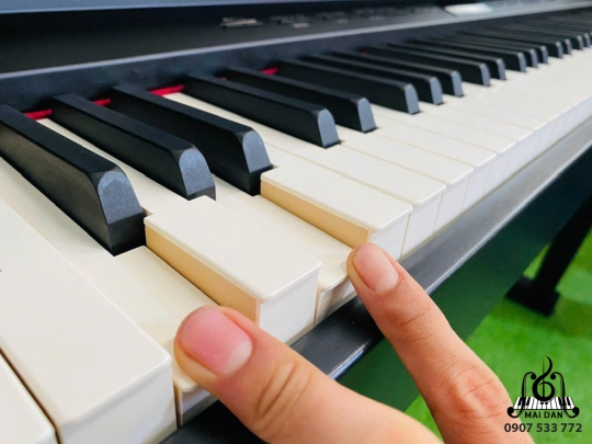 Đàn Piano Điện Roland HP 508-GP 